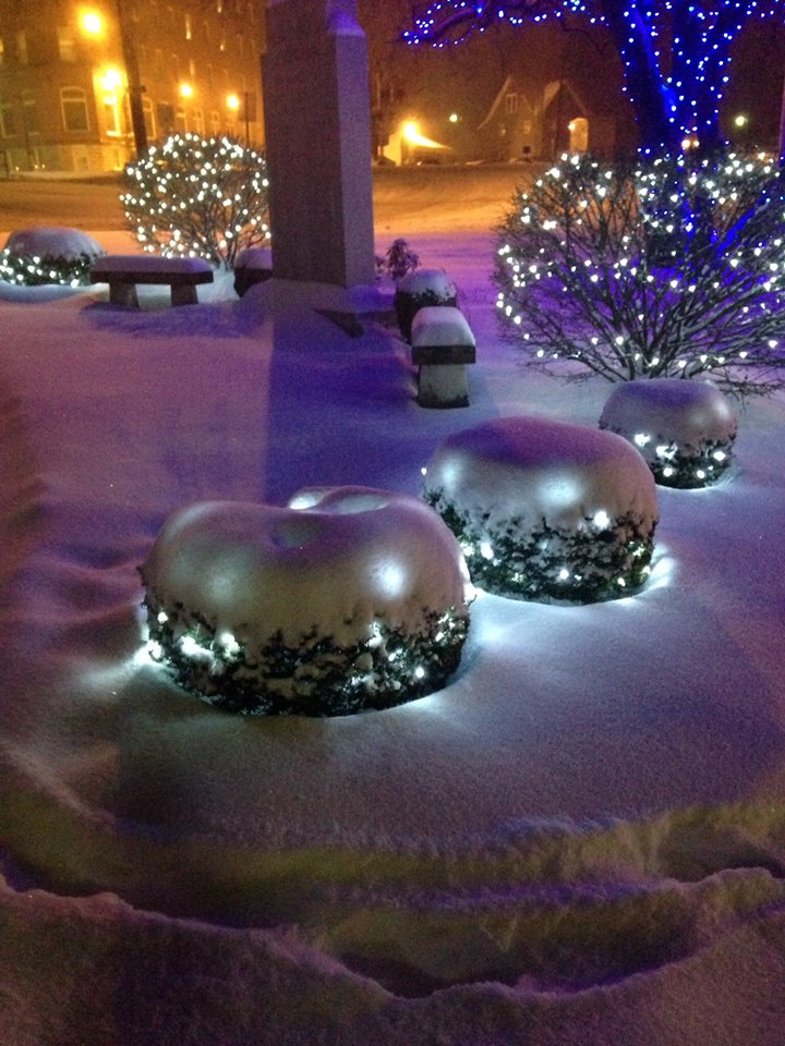 10359493_10204354818164323_1846572902671760680_n