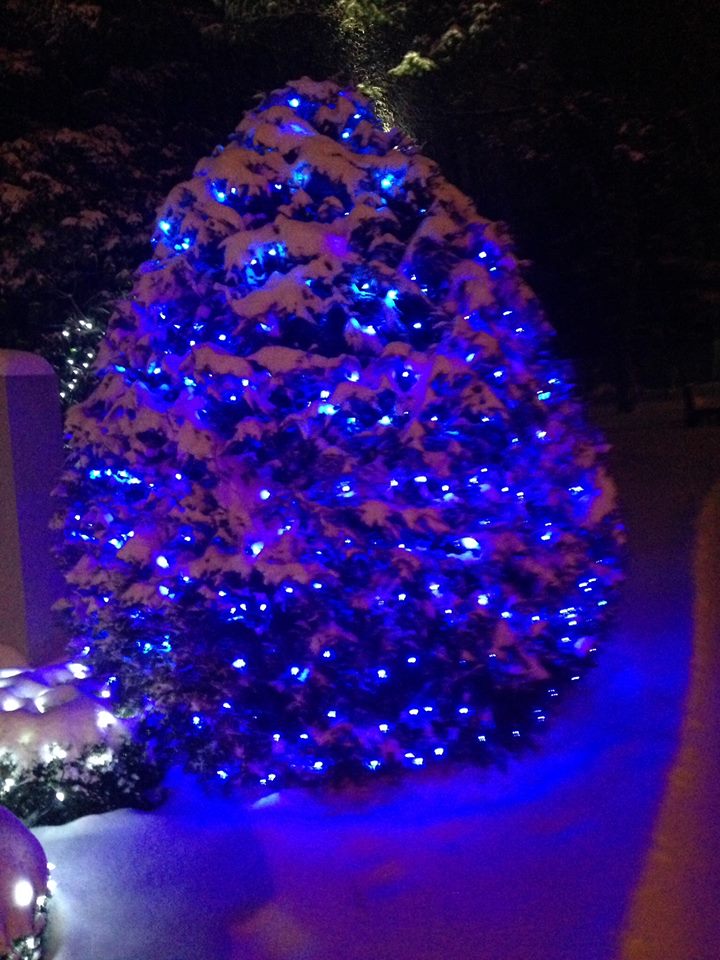 10359493_10204354818204324_6055645133252478832_n