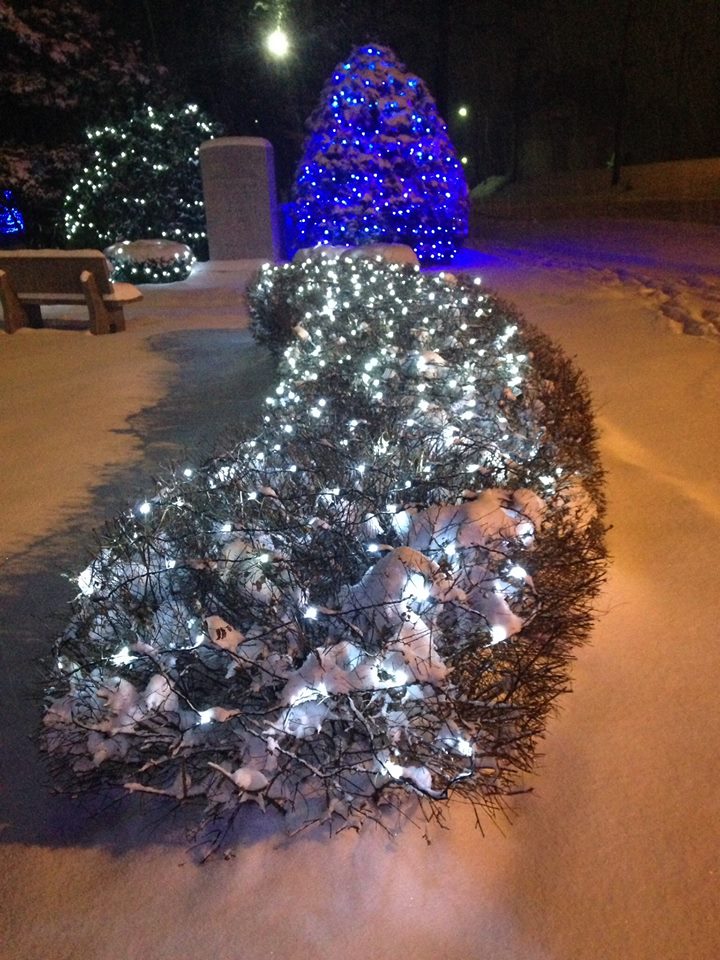 10359493_10204354818244325_6560442128991182125_n