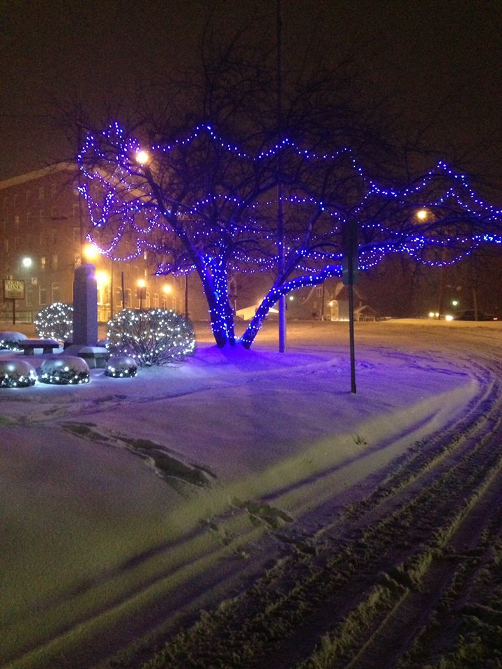 10402615_10204354881925917_5993155429013736822_n