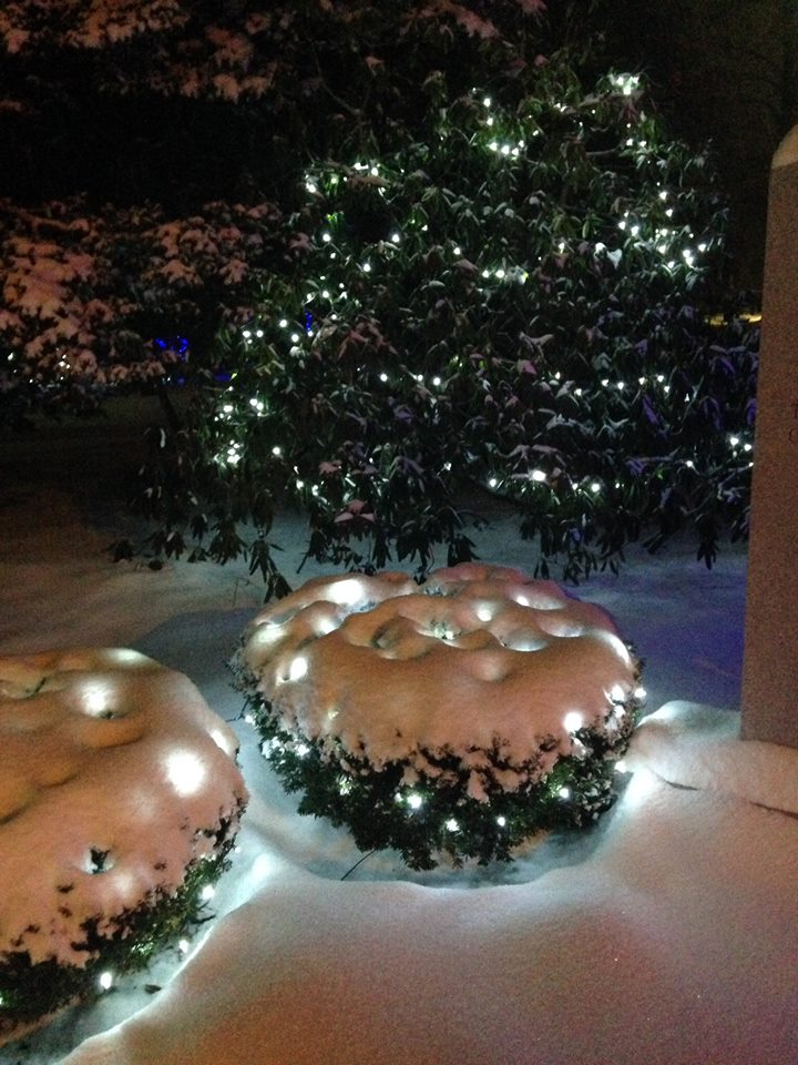 10847975_10204354831044645_5747478987517143265_n