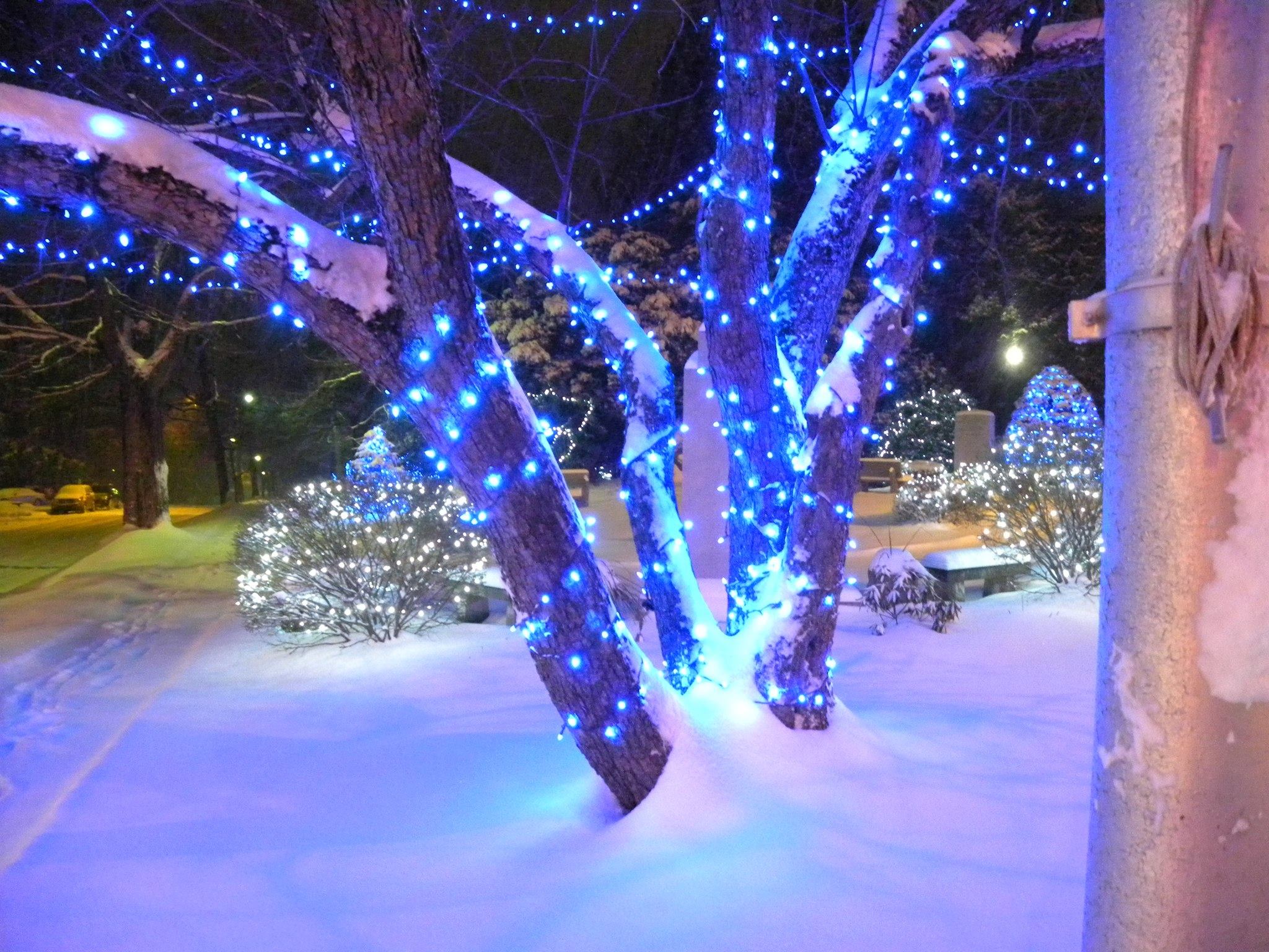 10854219_10204354759642860_6051402873120871995_o