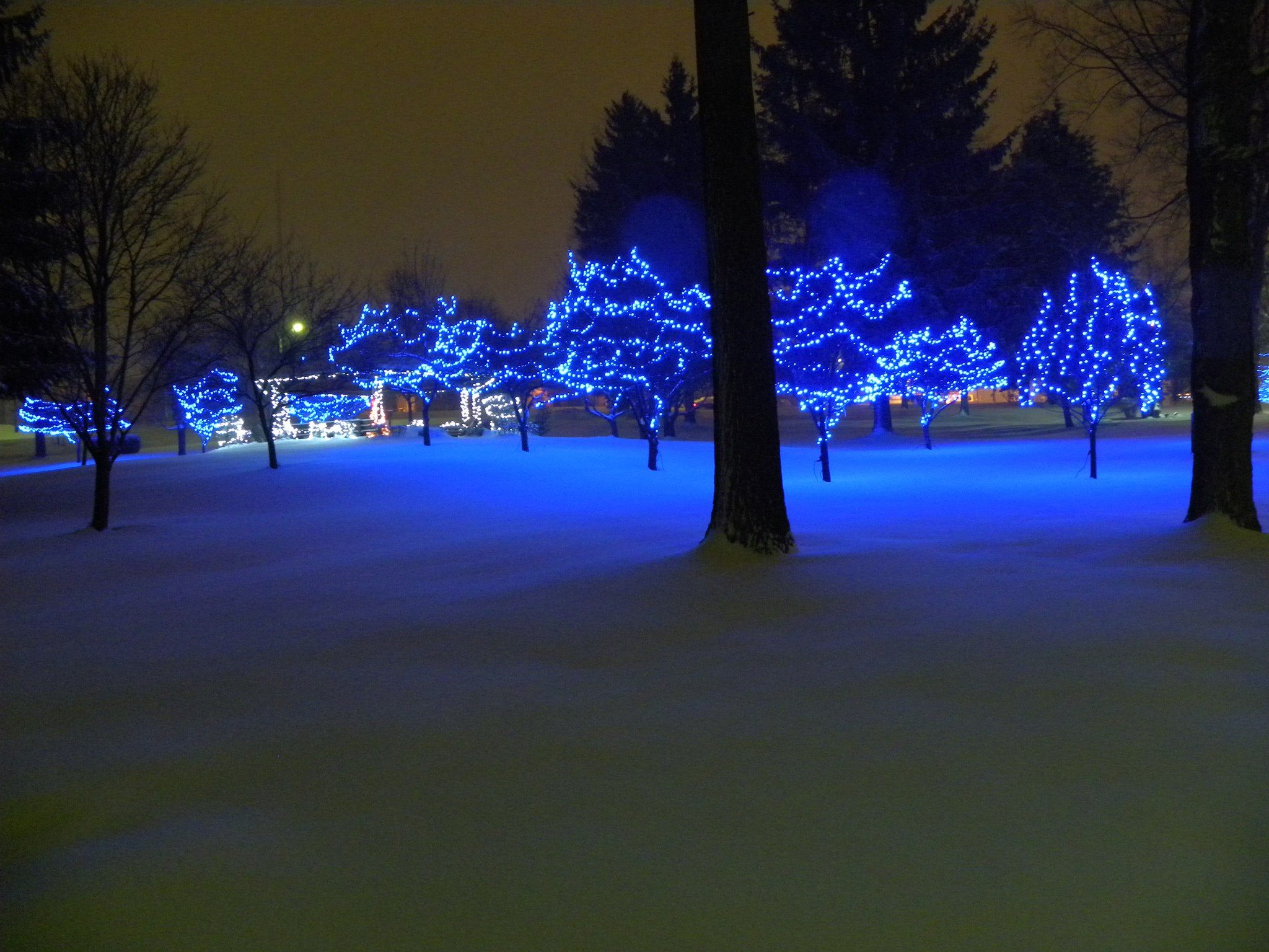 10862648_10204354753162698_227394755891536282_o